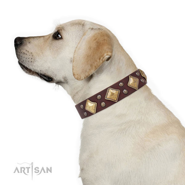 Fancy Dog Collars for Large Dogs Brown