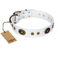 Collier blanc pour chien aux ovales