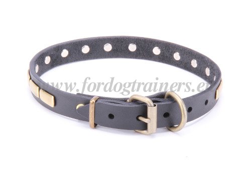 Collars with Brass Plates for Big Dogs