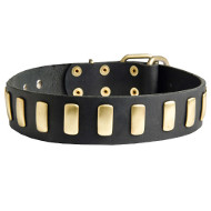 Cane Corso Gorgeous Wide Collar With Brass Plates [S26##1057 Collare largo con borchie decorative per Cane Corso]