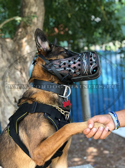 Dogs Harness for Belgian Malinois X Nylon