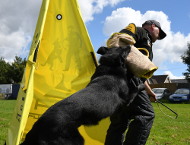 K9 Sport Schutzarm. Hetzarm fuer Veranstaltungen