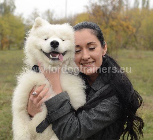 Boutique pour chien