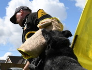 Manica protettiva per addestramento del cane