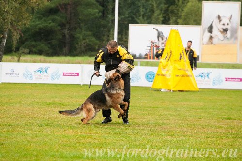 Blind for High-level Dog Training