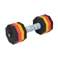 Multicolored Dog Dumbbell