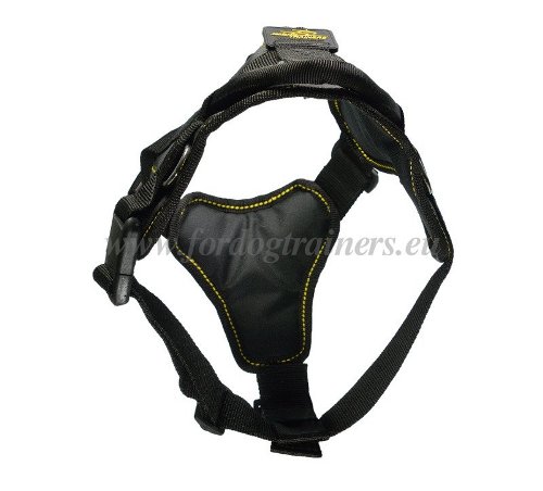 SAR Tracking Dog Harness for Active Dog