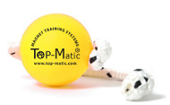 Magnetic Dog Training Balls: Fun-Ball Mini Soft