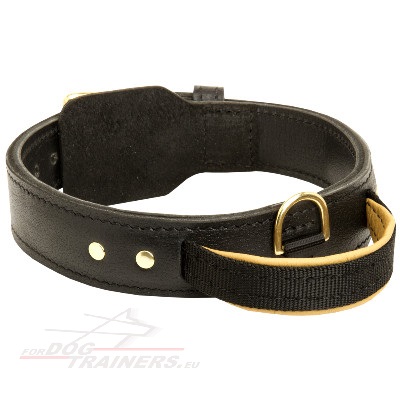 Agitation Dog Collar Handcrafted Strong