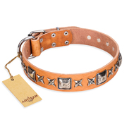 Tan Leather Dog Collar with Plaates