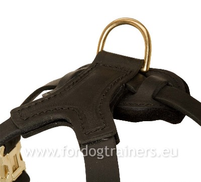 Leather Dog Walking Harness with Decoration