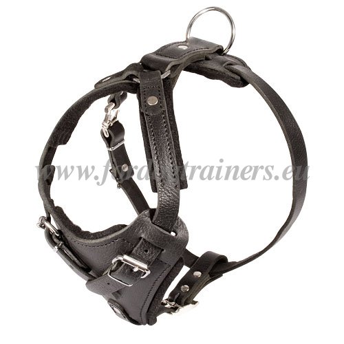 Leather Dog Harness with Handle for Training