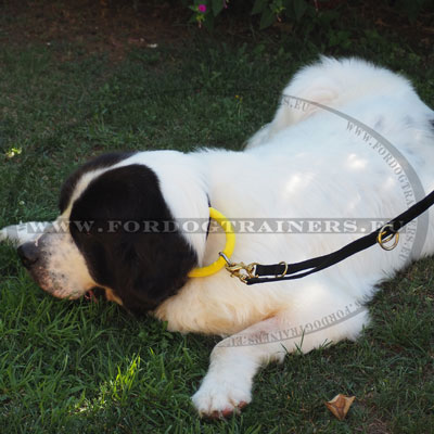Dog Training Collar with Handle for Large Dogs Long-haired