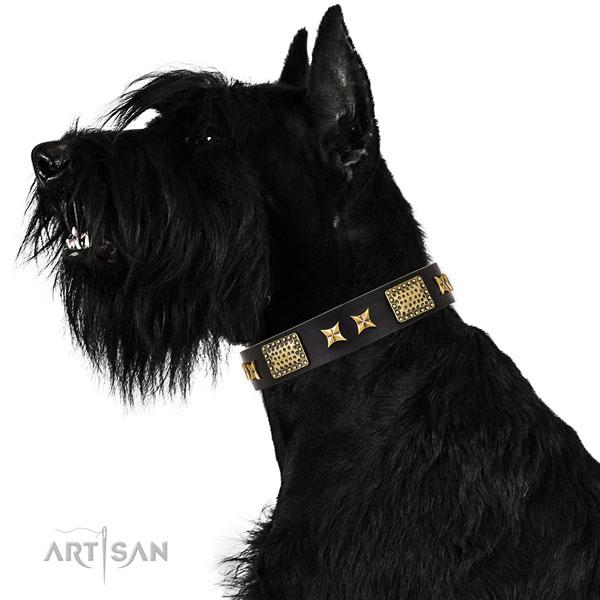 Fancy Leather Dog Collar Plated for Riesenschnauzer
