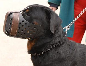 Hundemaulkorb