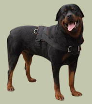 Rottweiler Nylon multi-purpose dog harness - Click Image to Close