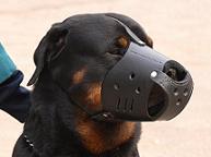 Rottweiler Ledergepolsterter Alltags-Hundemaulkorb M51