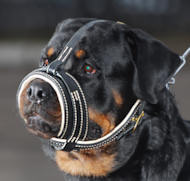 Rottweiler Exklusiver Nappa gepolsterte Hundemaulkorb