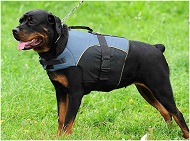 Perfekt Hundegeschirr aus Nylon mit extra Griff fuer Rottweiler