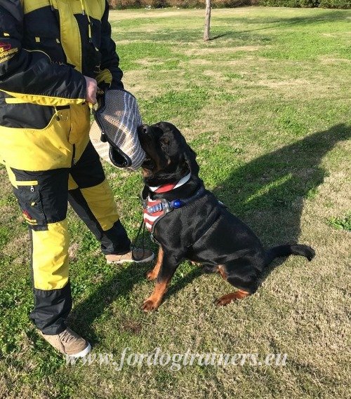 Harnais drapeau Etats-Unis pour chien