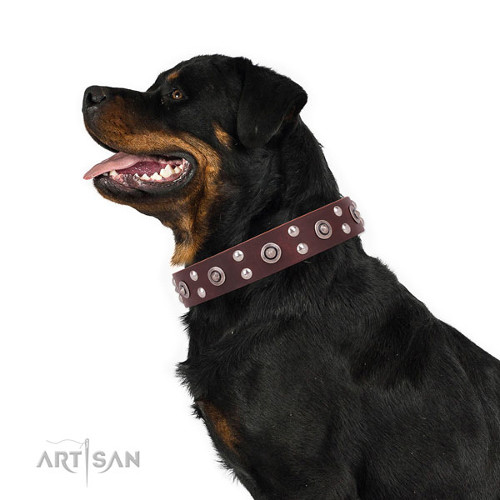 Hand-decorated Dog Collar for Rottweiler
