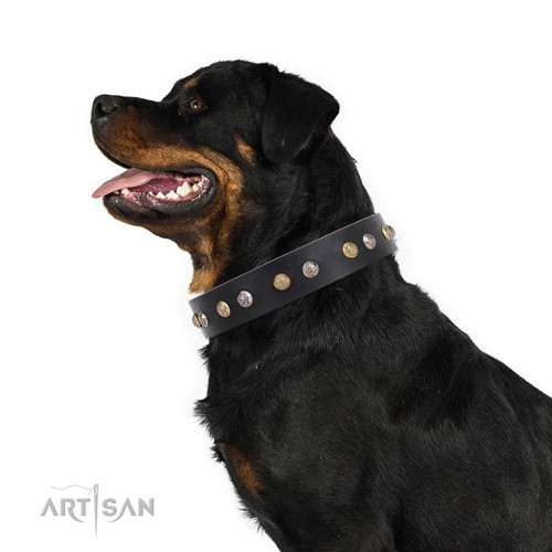 High Quality Leather Collar for Large Dog