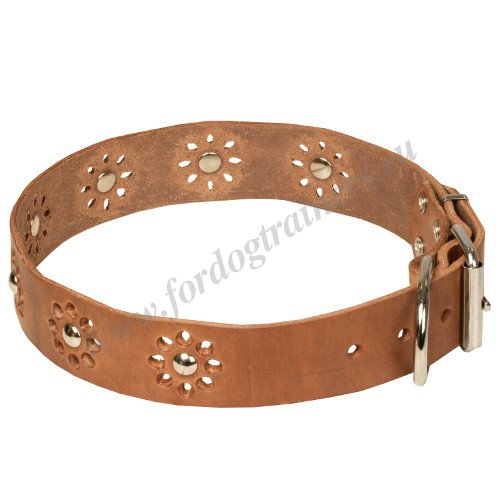 Collar for Large Dog Breeds Tan