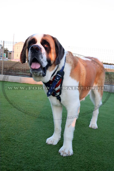 Extra Large Dog Harness for St. Bernards Painted