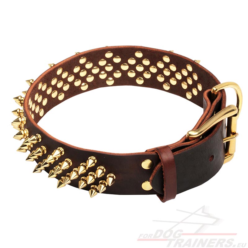 Luxus Design Lederhalsband mit Messing Spikes [C14##1057 Collare con  borchie a punta di ottone per cane] : K9 Hundegeschirre, Maulkoerbe und  Halsbaender mit Hundeleinen EU von Herstellern, Alles fuer Hundesport!