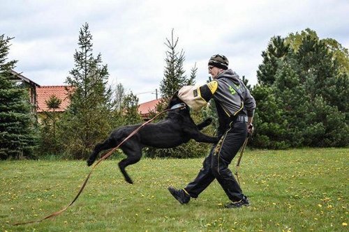 Hetzarm für den Schutz vom Arm