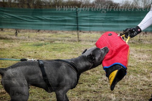 Higly-resistant Dog Training Sleeve