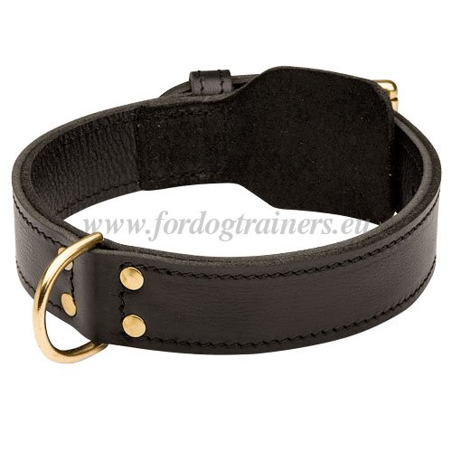 Police Dog Training Attack Collar