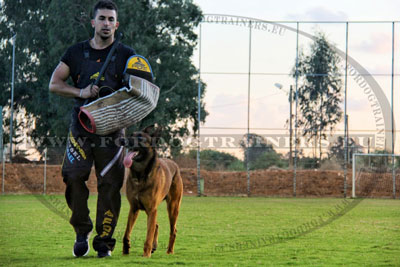 IPO Scratch Pants for Field Training