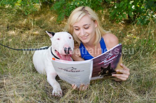 Secret du dressage Bull Terrier Matériel pour Bull Tarrier