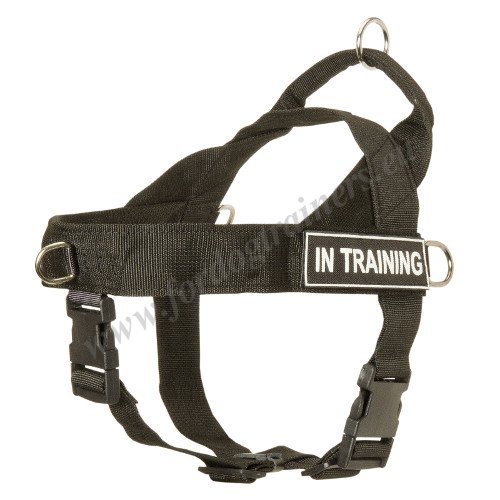 Dog
Harness for Pulling