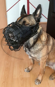 Dog Shock Muzzle for Belgian Malinois
