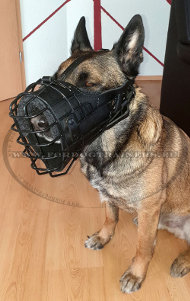 Museliere caoutchoute pour malinois belge