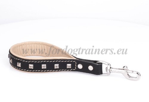 Short Dog Leash Padded Loop