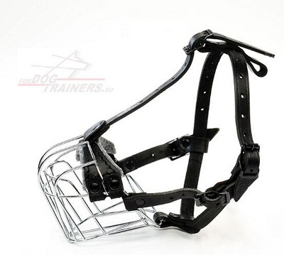 Handcrafted Basket Muzzle for Daily Training