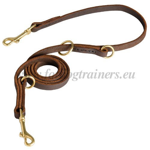 5 Ft
Leather Dog Leash