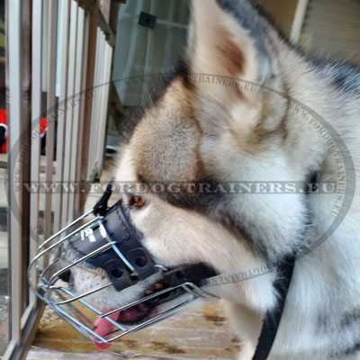 Basket Muzzle for Large Dogs Huskies