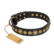 Black Dog Collar with Brass Studs