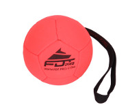 Inflatable Dog Training Ball