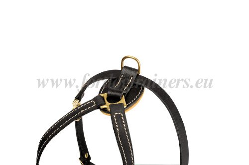 Dog Harness
Leather with Brass