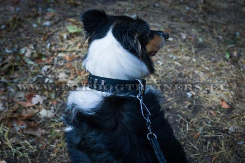 Wide Leather Dog Collar