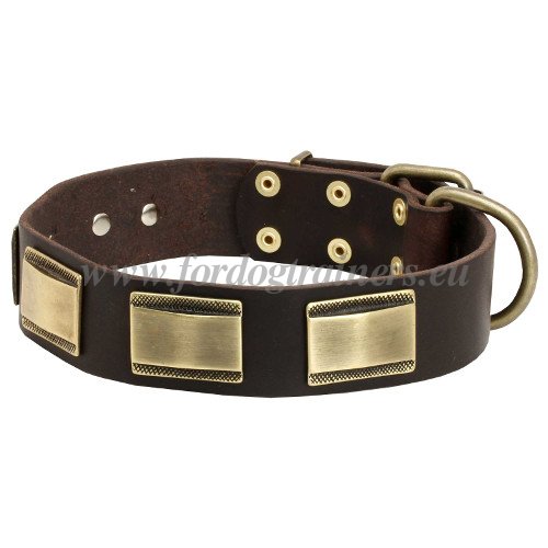 Large Dog Leatehr Collar