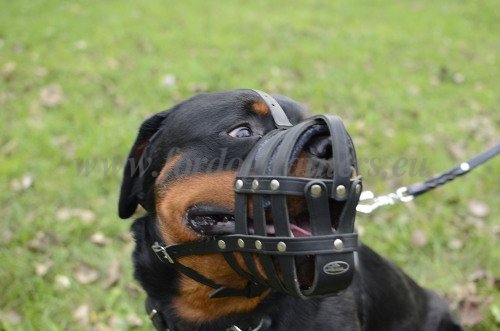 Soft Padded Dog Muzzle for Guard Dogs