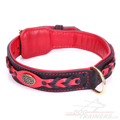 Braided Leather Collars for Dogs