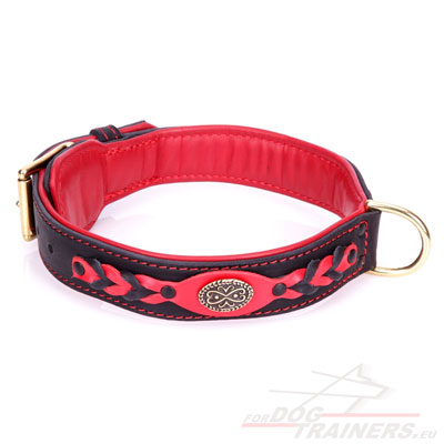 Handmade Leather Collar with Braiding and Decoration