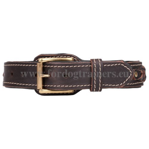 Practical Leather Collar with Luxurious Braids